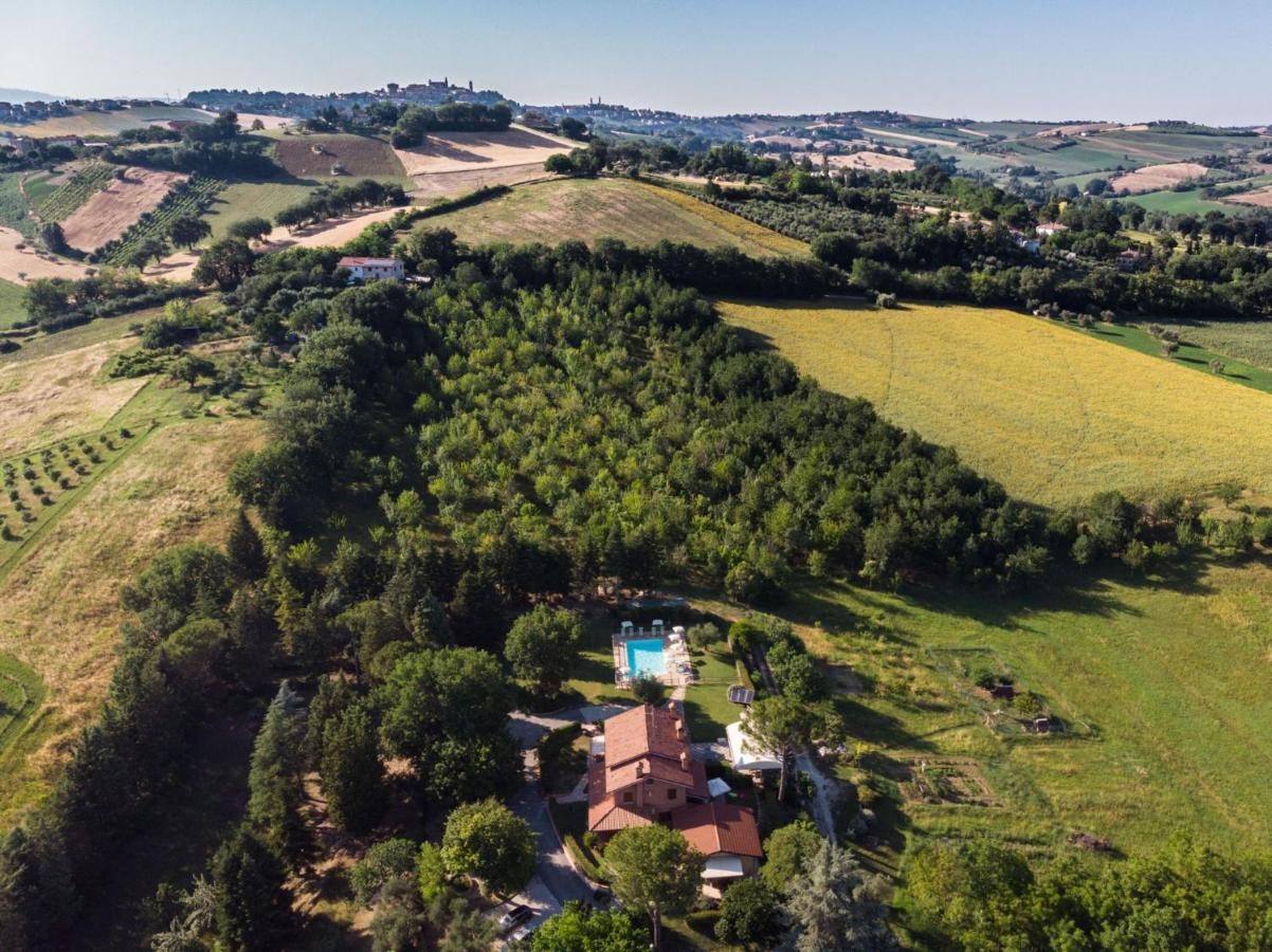 Agriturismo Villa Beatrice Mondavio Екстериор снимка